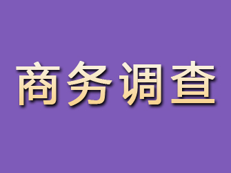 铜山商务调查